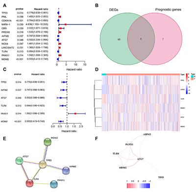 Prediction of Prognosis in Patients With Endometrial Carcinoma and Immune Microenvironment Estimation Based on Ferroptosis-Related Genes